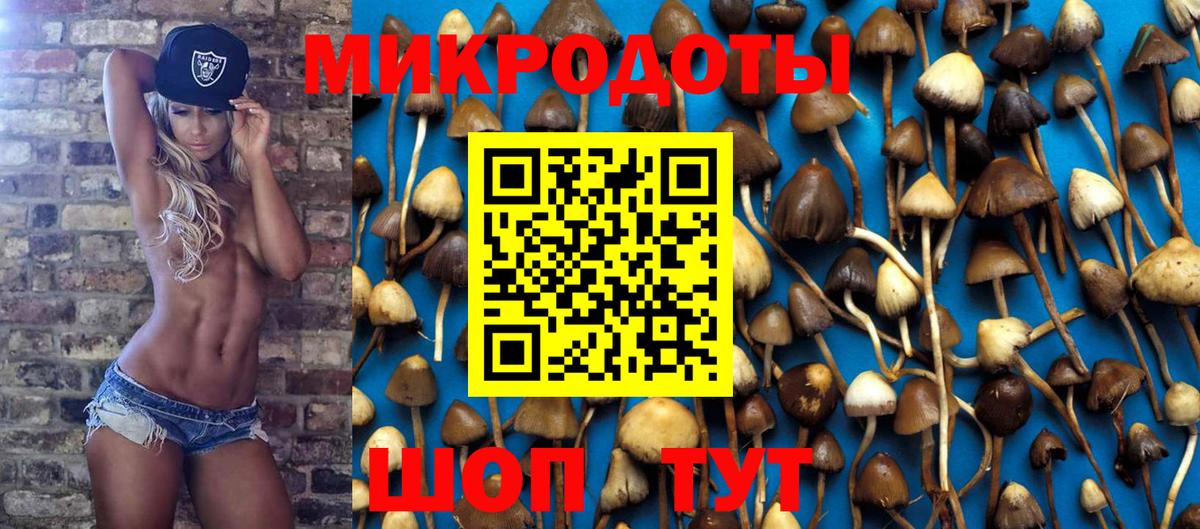 Псилоцибиновые грибы Psilocybine cubensis Рузаевка