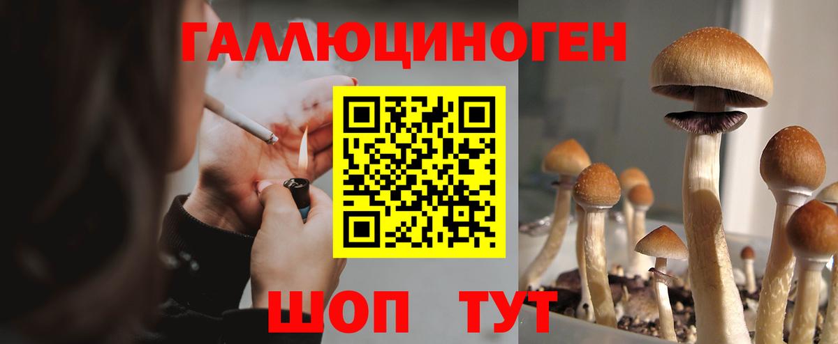 Рузаевка  Галлюциногенные грибы Psilocybe  Вход с VPN 